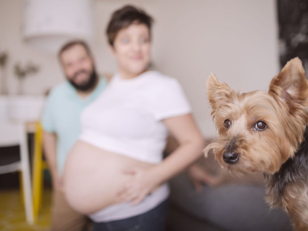 Ruth y Hugo prepapás (49)